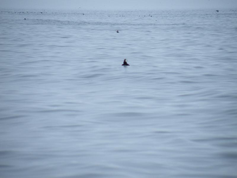 Bering Strait Crossing 019.jpg